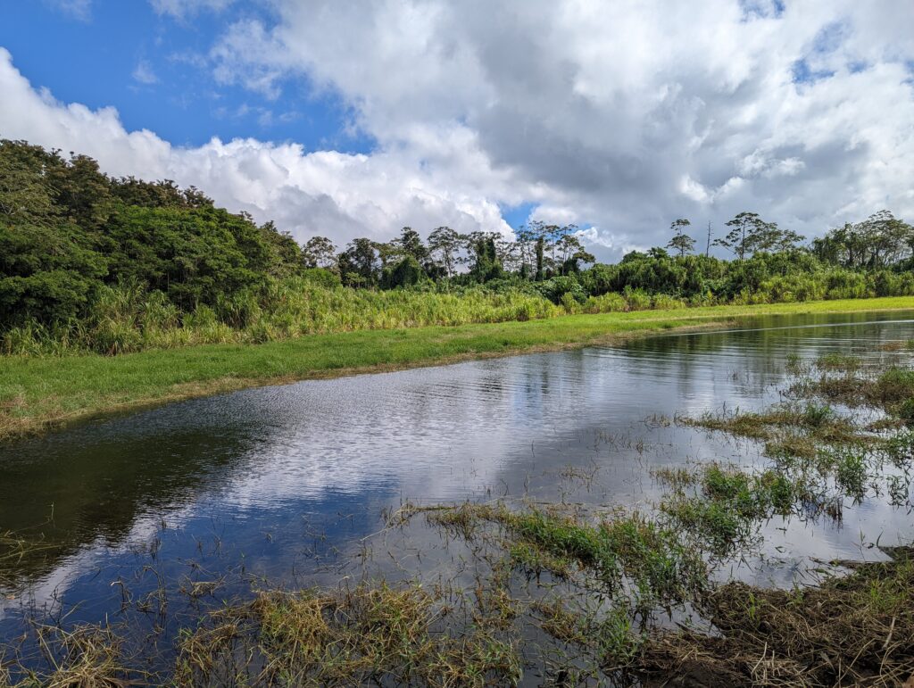 Monteverde - Arenal (Jeep-boat-jeep)