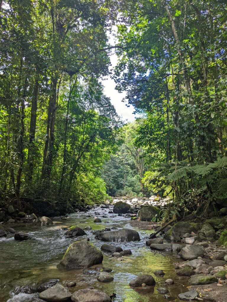 La Fortuna
