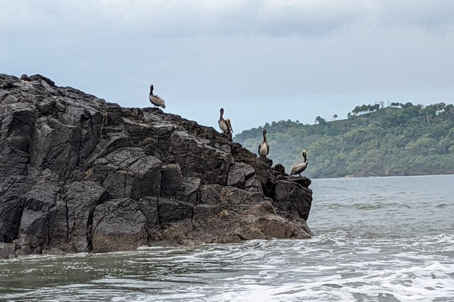 Manuel Antonio National Park (From Tamarindo)