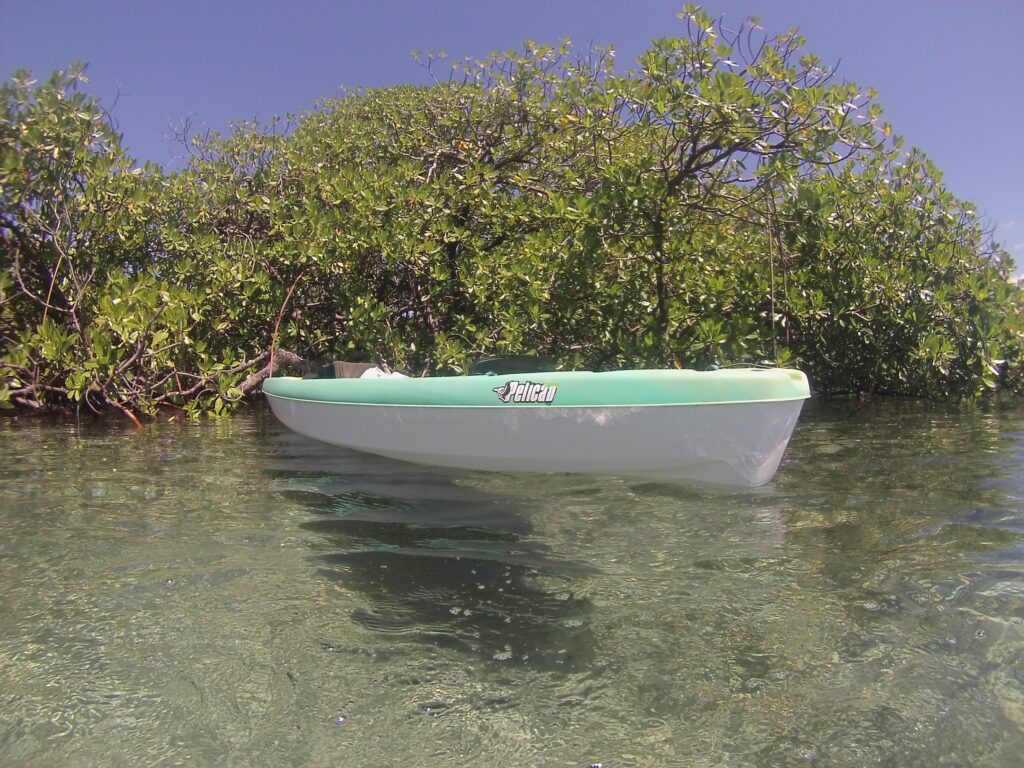 Bocas del Toro Isla Solarte - kayaking