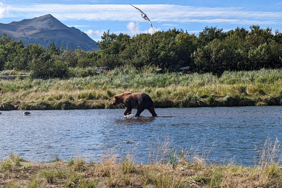10 day Alaska Roadtrip Itinerary in a campervan